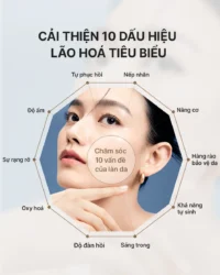 THE WHOO OFFICIAL Tinh chất tự sinh chống lão hóa