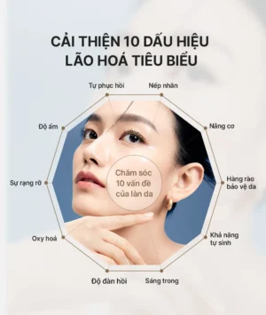 THE WHOO OFFICIAL Tinh chất tự sinh chống lão hóa